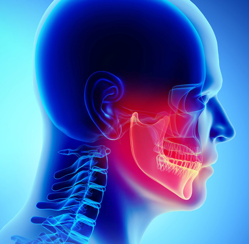 cataneo_ gnatologia